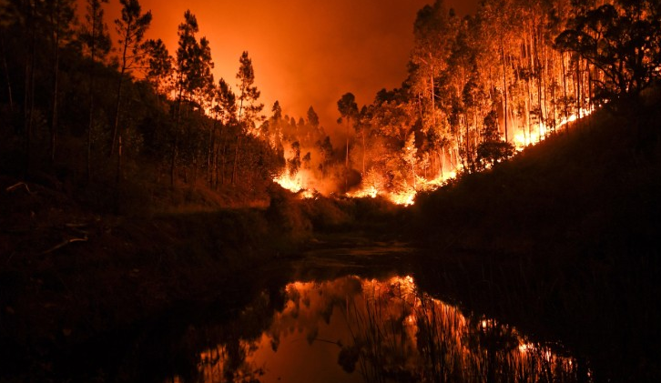 போர்ச்சுக்கல் காட்டுத் தீ : தீயணைப்பு வீரர்கள் கடும் போராட்டம்