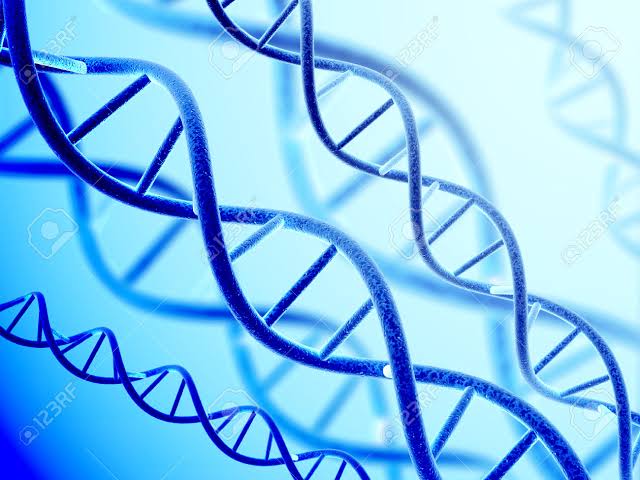 புற்றுநோயை மரபணு மாற்றம் மூலம் சரி செய்யலாம்