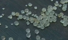 பிளாஸ்டிக் போலி உணவுகள்: புதிதாக பிளாஸ்டிக் சர்க்கரை