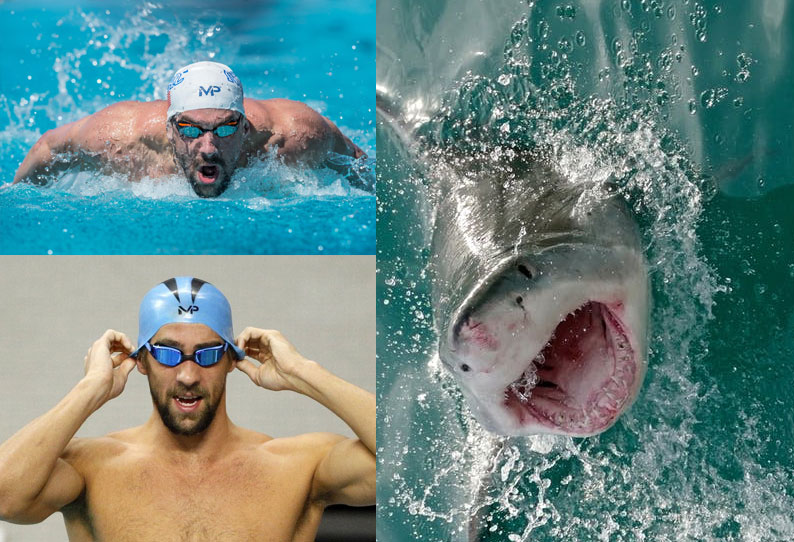 மைக்கேல் பெல்ப்ஸ் வெள்ளை சுறாவுடன் போட்டியிடபோகிறார்