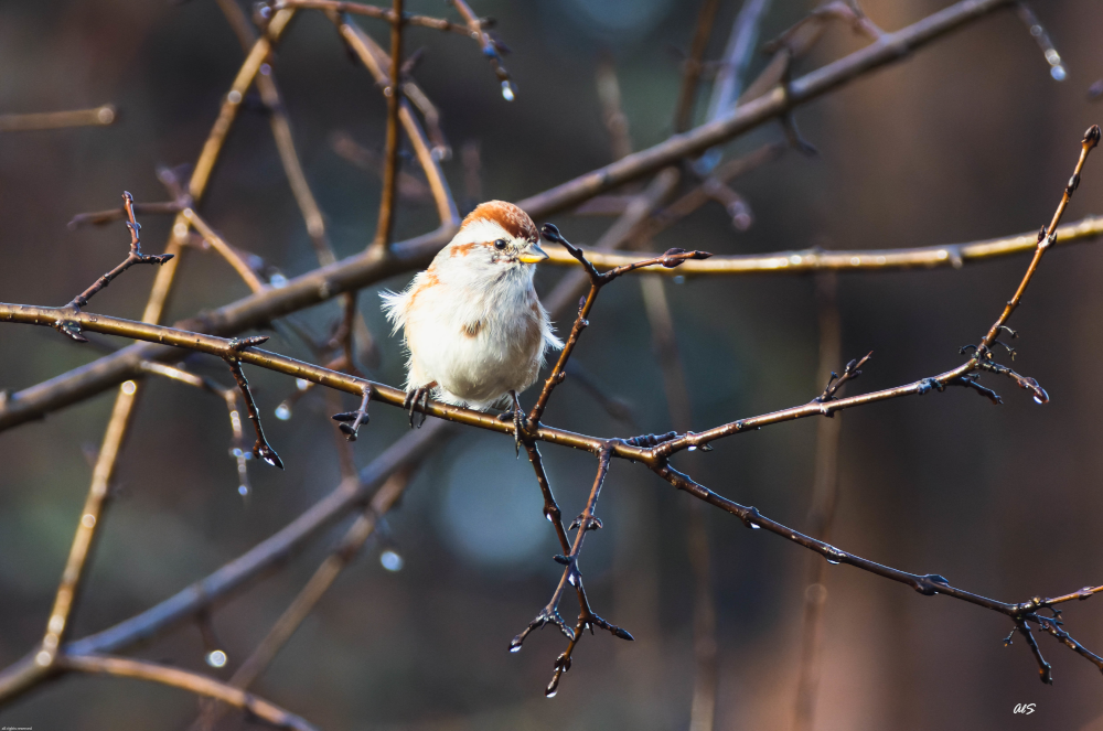 Relaxation Techniques