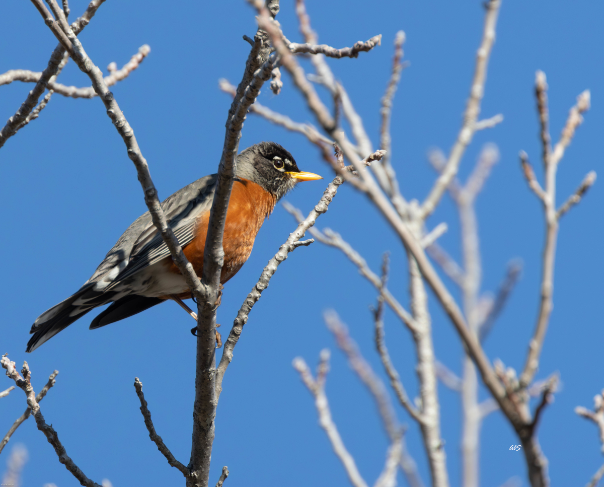 The Simple Exercise That Will Help Improve Your Health Immensely