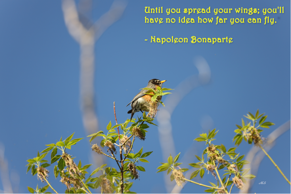 Thought for the Day!