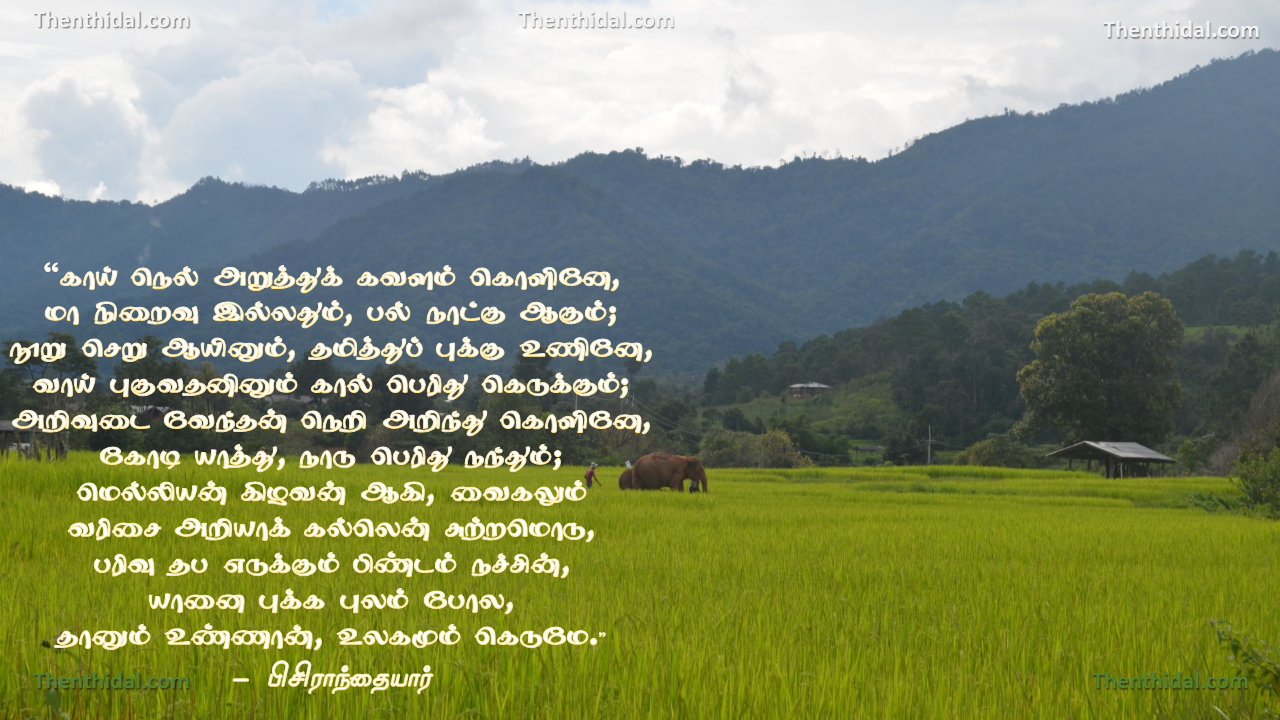 யானை புக்க புலம்