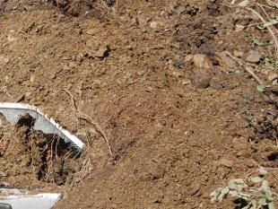 சீனாவில் நிலச்சரிவு : 15 பேர் பலி, 120 பேரை காணவில்லை