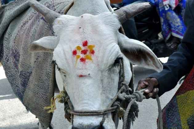 ஜார்கண்ட் மானிலத்தில், பசு பாதுகாப்புத் தீவிரவாதிகள் மேலும் ஒருவரைக் கொன்றனர்