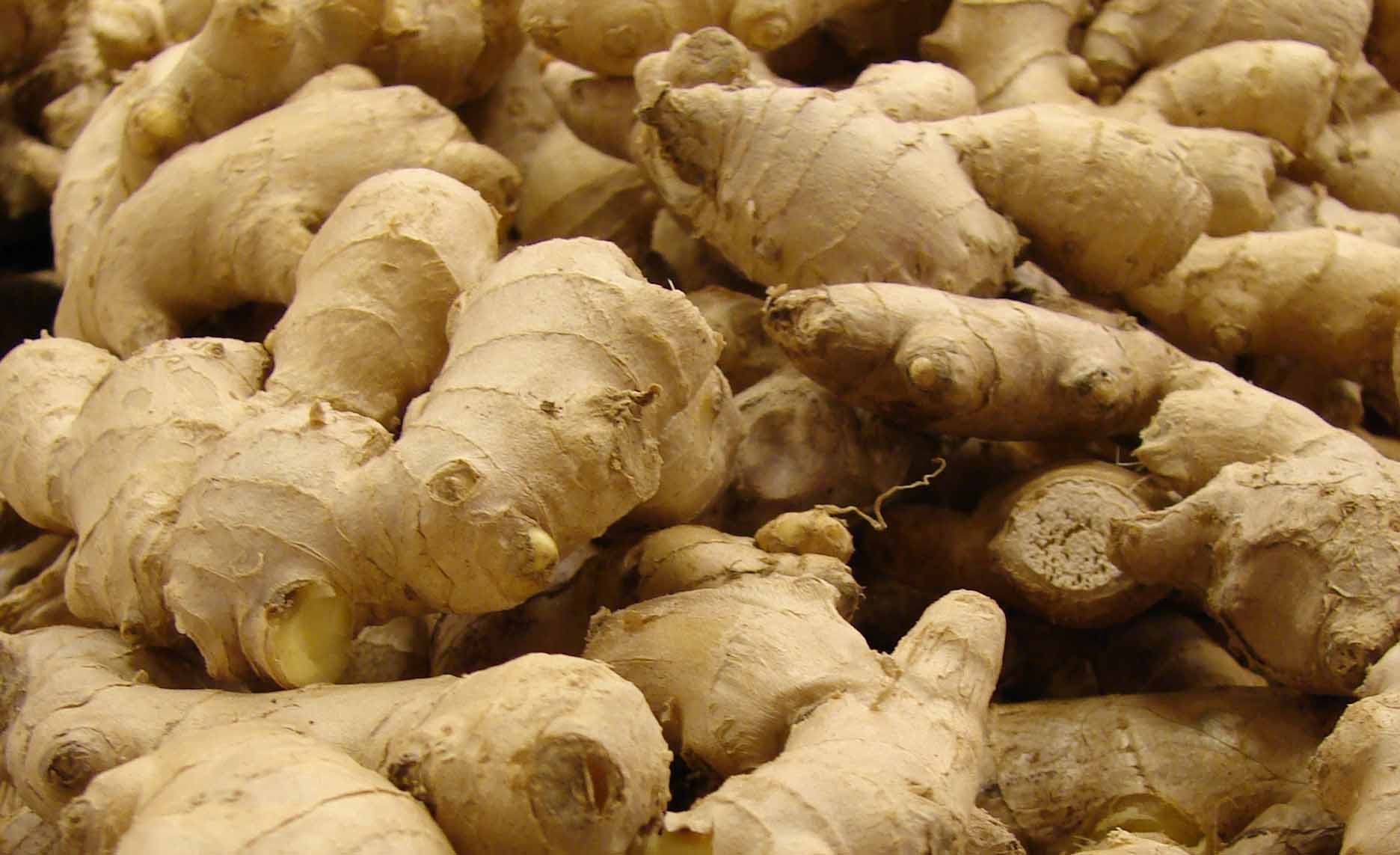 Ginger: The Age - Defying Spice with Mind - Blowing Health Benefits