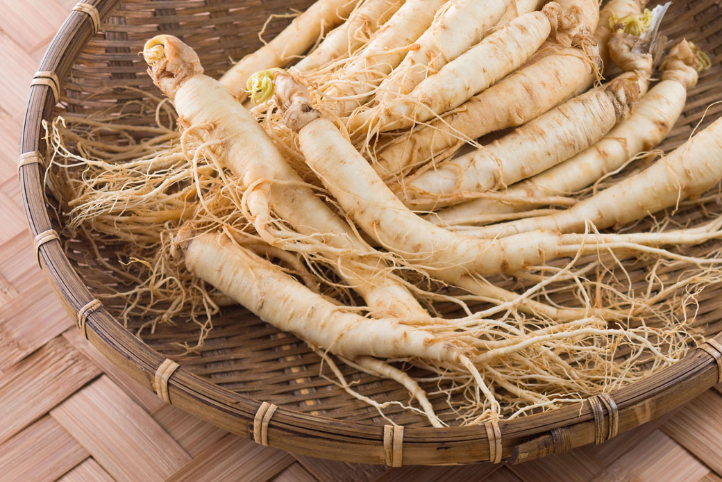 The Power of Ginseng